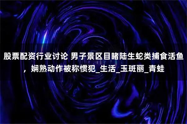 股票配资行业讨论 男子景区目睹陆生蛇类捕食活鱼，娴熟动作被称惯犯_生活_玉斑丽_青蛙