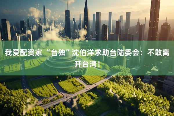 我爱配资家 “台独”沈伯洋求助台陆委会：不敢离开台湾！