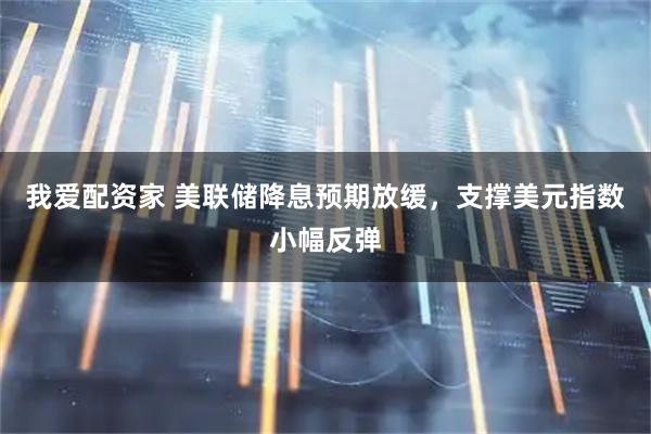 我爱配资家 美联储降息预期放缓，支撑美元指数小幅反弹